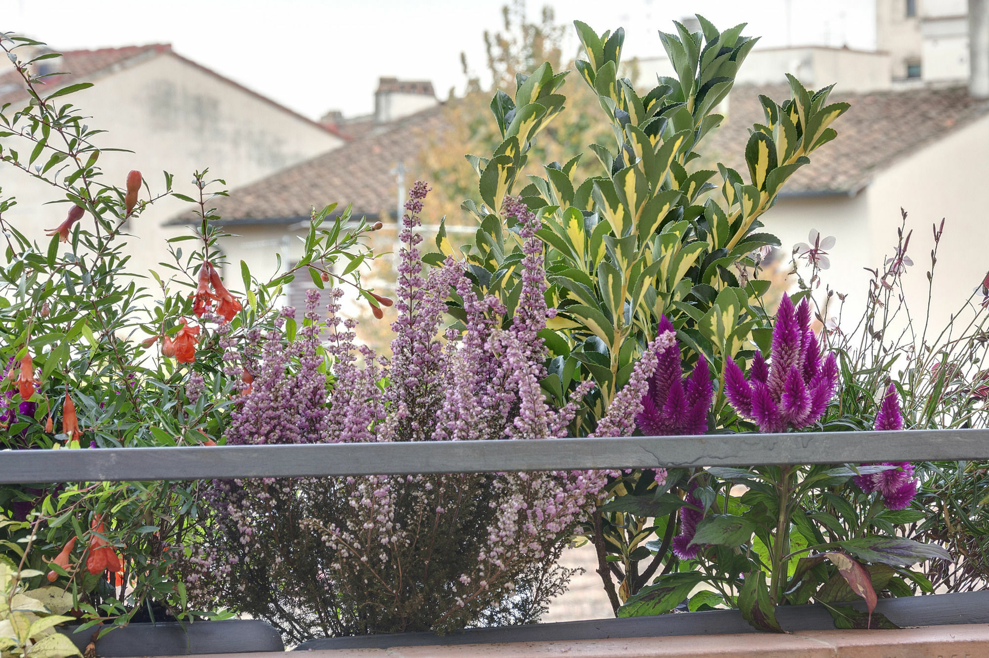 Dolce Vita Suite Florence Buitenkant foto